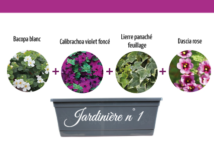 Jardiniere1